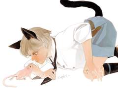 고양이 쥐 생각