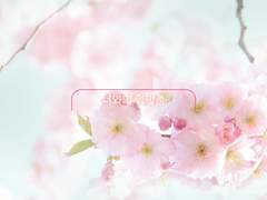 2019 두 번째 과제