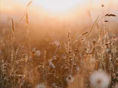 희망을 버리지 않는 이유는