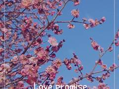 [야마소라] Love Promise