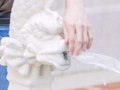 我用威神V学汉语