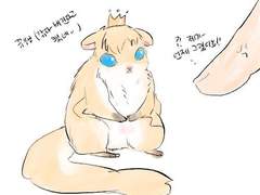 알베르 저하가 날다람쥐가 되었다2