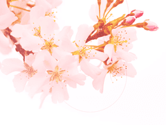 [퀼 시나리오] 너를 기다리던 어느 봄날