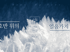 호반 위의 얼음가지