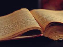 Damnar Hetuik Alfenhauer