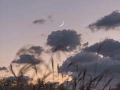 내가 널 사랑한다는 건