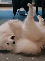 어떻게 사랑이 변하냐고?