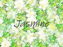 [미나미] Jasmine