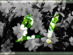 [렌제이 × 소예 collaboration] 오!