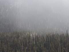 [쿠로다이] 오늘 (1)