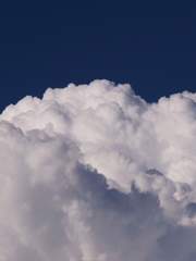 I want to shoot a movie with you