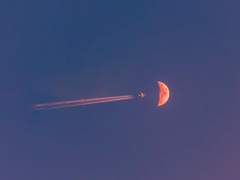 [토니피터] 엔딩크레딧