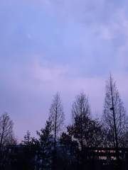 FANTASY ? PANTASTIC !