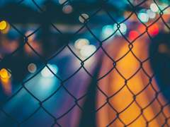 [사보루] 나의 바람(my wish)