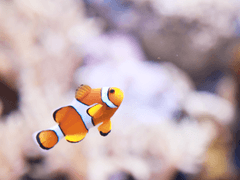 상리공생 - 09 (完)