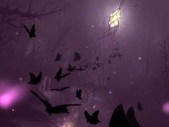 독나비 악보[유료 결제]