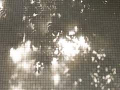 당신이 사랑에 빠졌던 최초의 여름