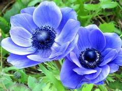 역사를 바꾸는 것