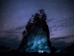 [시목창준/승효경문] Mutant 4