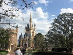 비 이상적 공간에 대한 나의 환상.