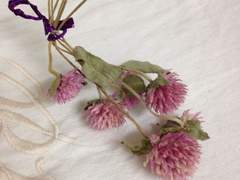 [ 준부 ] 창 너머의 그