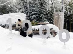 메이데이, 메이데이. (May Day, Mayday)