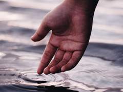 [루시산] 내 망한 연애와 썩은 도토리