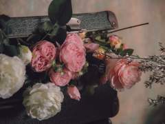 [백기유연]절제