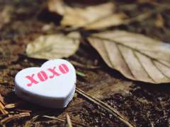 [둥굴레차!/건현] 첫 번째 접문