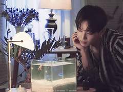 [식섭] 핏빛 바다에 몸을 던지면