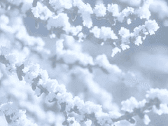 [태구현우] 바람아, 불어와 上