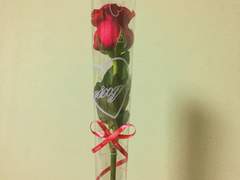 [단편] 우리는 연인이 될 수 있을까