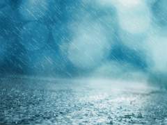 [스가키요] 마른장마