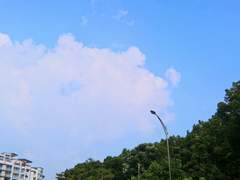 나는 아직 여름을 기다리고 있습니다