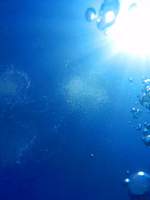 Where did they all run to