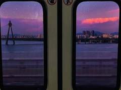 캐터마이트 ; 지하실 코끼리