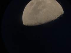 수신자부담 - 2 -