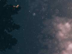 [조인조조] 비겁한