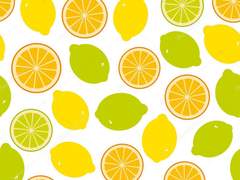 레몬 라임 오렌지 pt. 0