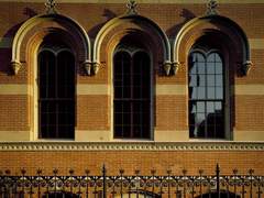 [디오죠나] 우리 안의 환상곡