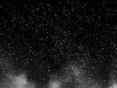 유성우 속에서 왈츠