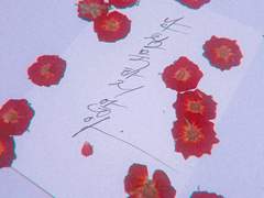 난 침묵하지 않아