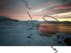 서영락 인스타 투명포카