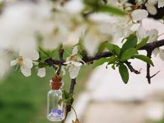 오늘의 심부름: 작은 병 두개!