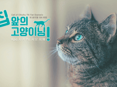 집 앞의 고양이님!