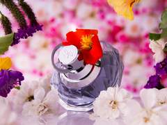 [녤윙] When Alpha Meet Beta 7 (完)