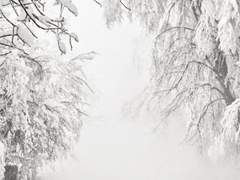 [귀백] 八寒地獄 (鬼冷 글전력 60分)