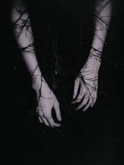 My honorable MASTER 完