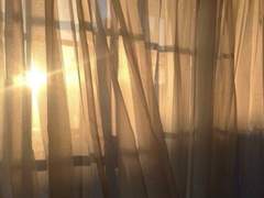 너를 만나러 간다