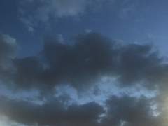 [녤옹] 豫知夢 Prologue